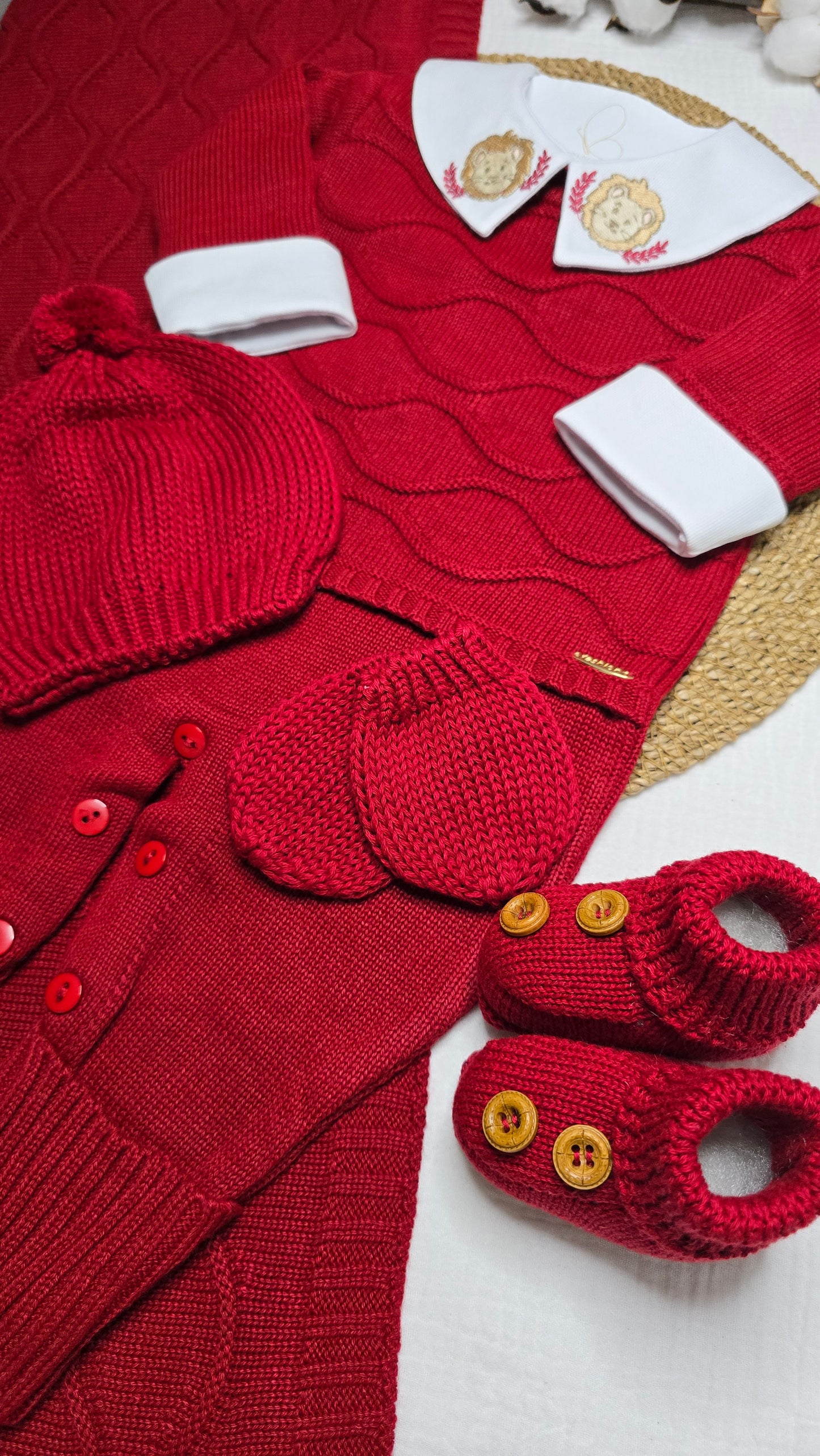 Saída de maternidade Carlos Vermelho Leão - Recém Nascido