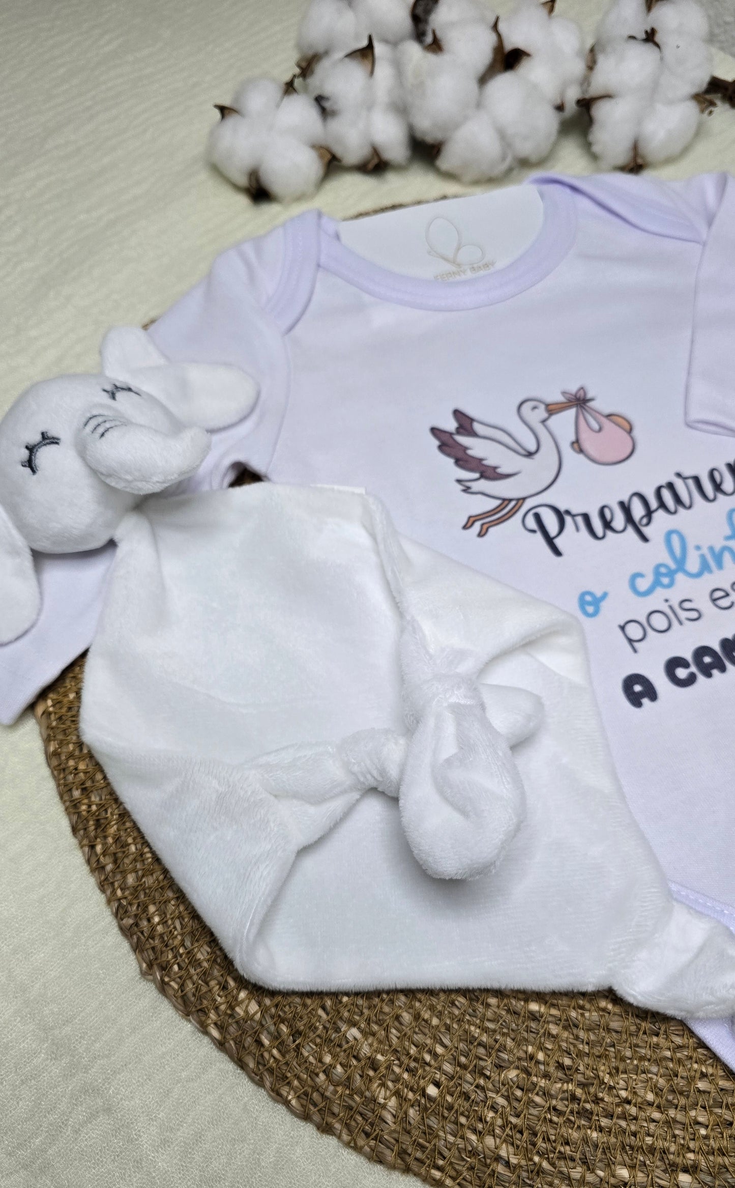 Kit Anúncio Gravidez - Recém Nascido