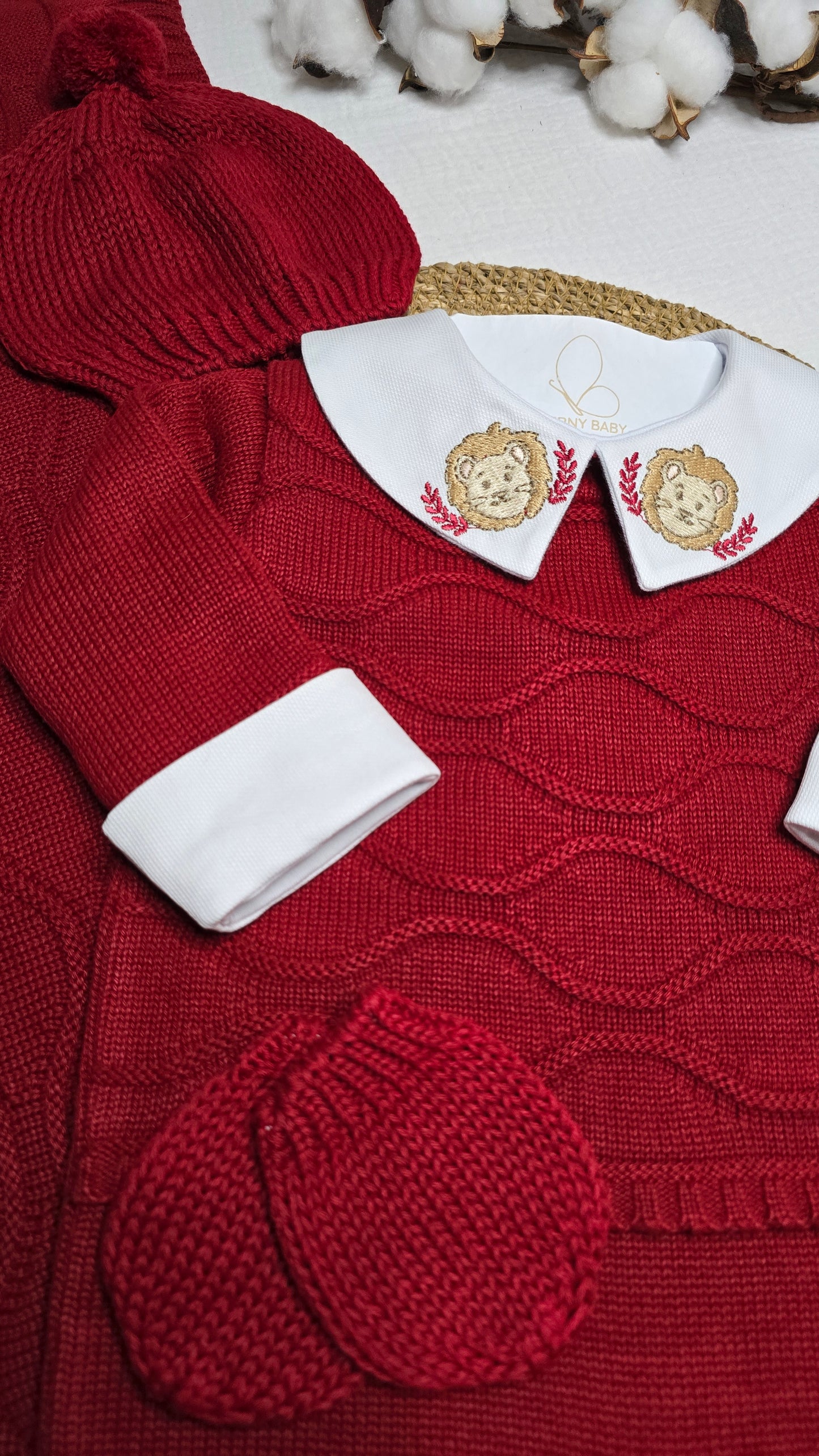 Saída de maternidade Carlos Vermelho Leão - Recém Nascido