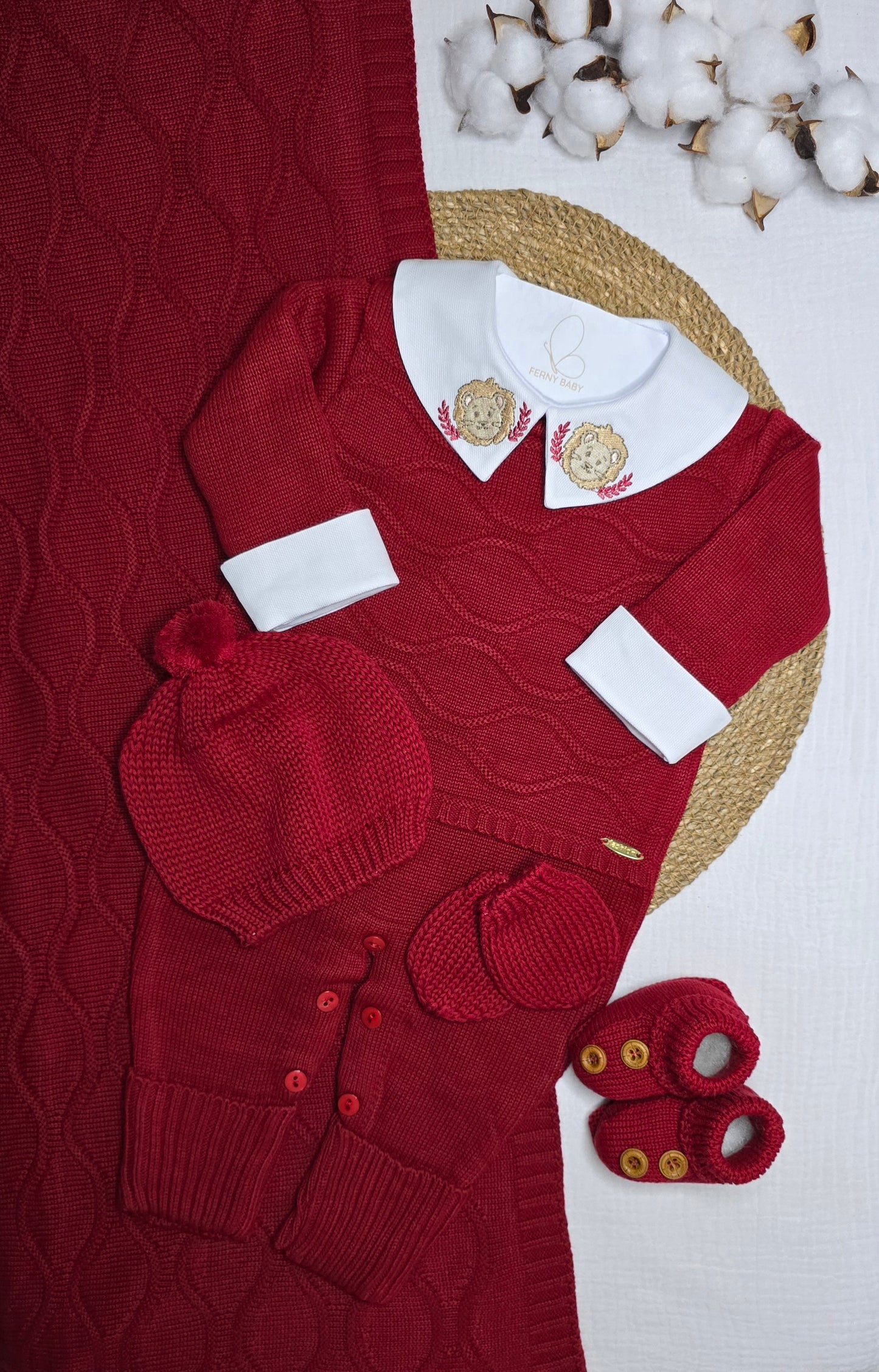 Saída de maternidade Carlos Vermelho Leão - Recém Nascido