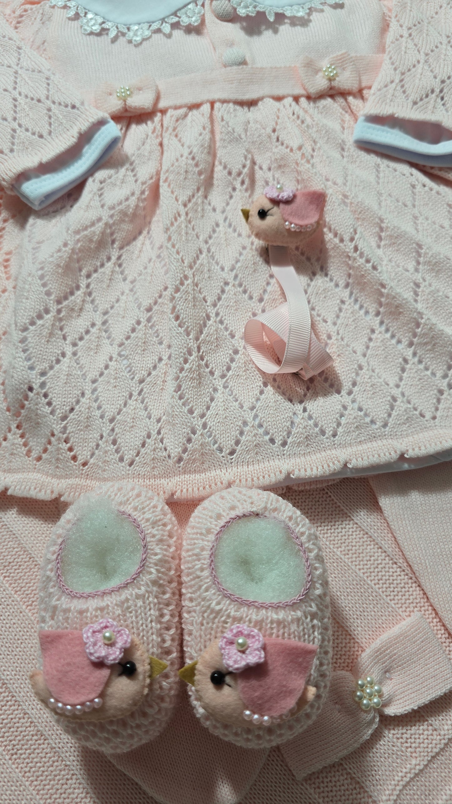 Saída de maternidade Michele Rosa - Recém Nascido